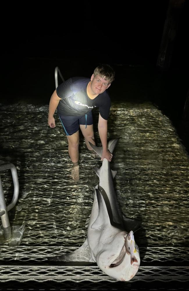 Robert Mostyn captured this 1.5 metre bullshark off the Kingfisher jetty on K'gari on January14.