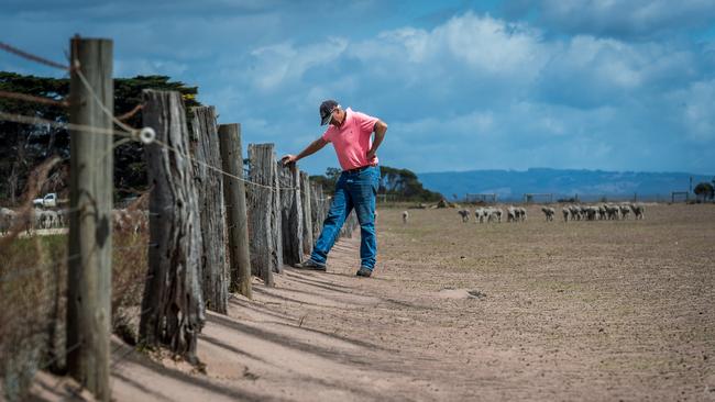 Dan Boland inspects a paddock at his Darriman farm. Picture: Jake Nowakowski