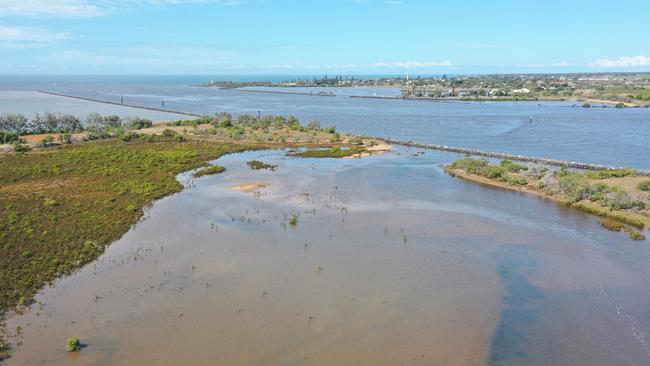 Barubbra Island will be the home of a project protect shorebirds including the Bar-tailed Godwit and the Curlew Sandpiper.