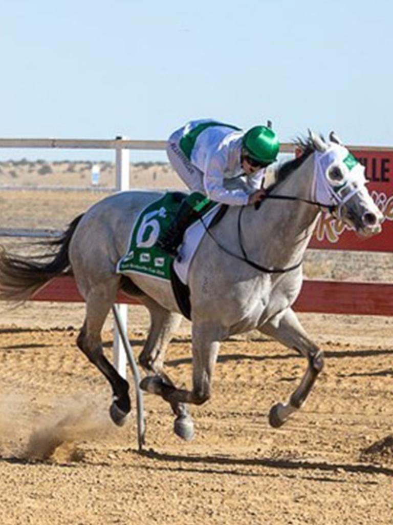 Neodium crosses the finish line in first last year. Picture: Birdsville Races