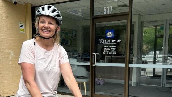 Sussan Ley has bounced back to become the leader of the party.