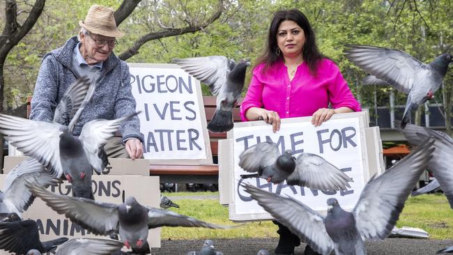 Keith "Jim" Fellingham and Samira Fateh in Victoria Square with her signs protesting against pigeon culling. Picture: Simon Cross