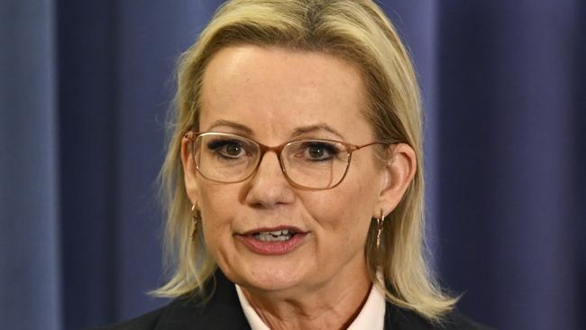CANBERRA, AUSTRALIA  - NewsWire Photos - MAY 13, 2025: Newly elect Opposition Leader, Sussan Ley and Deputy Leader Ted O'Brien hold a press conference hold a press conference at Parliament House in Canberra. Picture: NewsWire / Martin Ollman