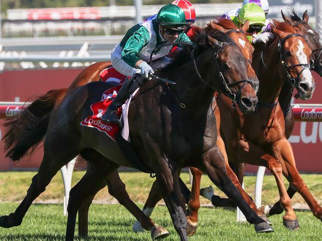 All Too Royal takes out the MRC Christmas Stakes at Caulfield. Picture: Getty Images