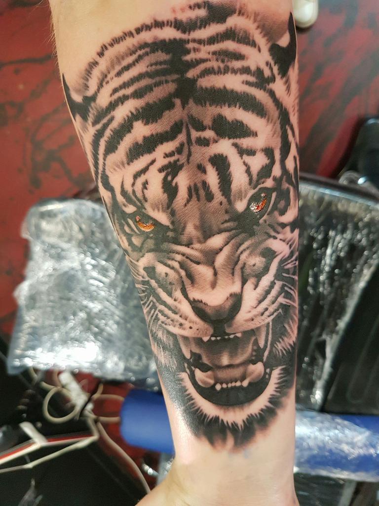 29/10/2019 - My forearm tiger tattoo done by Chris Marusarz at Tahiti Master Felix Tattoo in Hobart. Best animal realism artist in Tasmania! Picture: Chris Marusarz