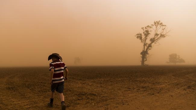 Agriculture is expected to feel the full brunt of the rising global temperatures. Picture: Dylan Robinson