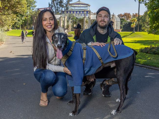 RSPCA SA's Million Paws Walk in Adelaide on May 25, 2025. Picture: Ben Clark