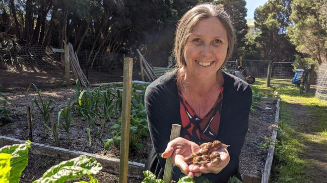 Snail farmer Kylie Rogerson, of Barefoot Organics.