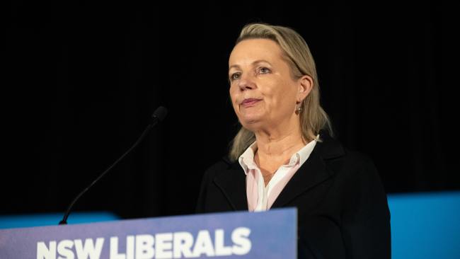 Deputy Liberal leader Sussan Ley addressing the NSW Liberal Party state council meeting on Saturday. Picture: NCA NewsWire / Flavio Brancaleone