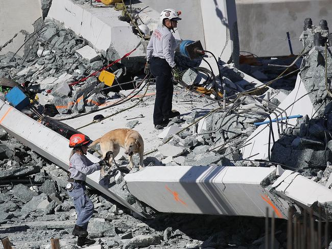 Sniffer dogs have been helping to search through the rubble for survivors. Picture: Joe Raedle/Getty Images/AFP