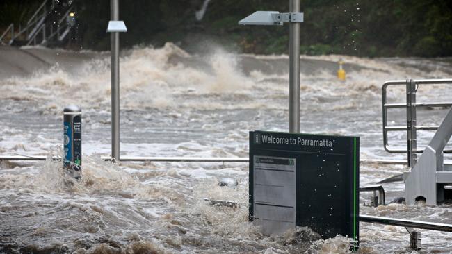 Parramatta River flooding. Picture: Adam Yip