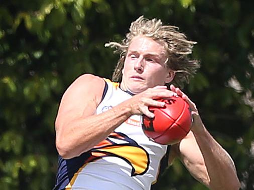 Tom Lamb (West Coast) marks. Adelaide v West Coast, at Unley Oval. NAB Challenge, AFL Football. 21/02/16  Picture: Stephen Laffer