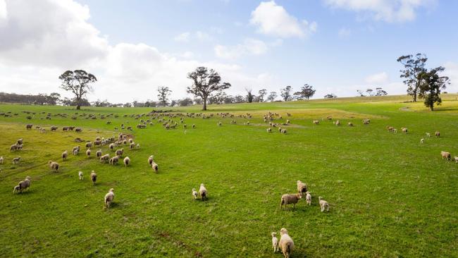 Red Creek. Source: realcommercial.com.au