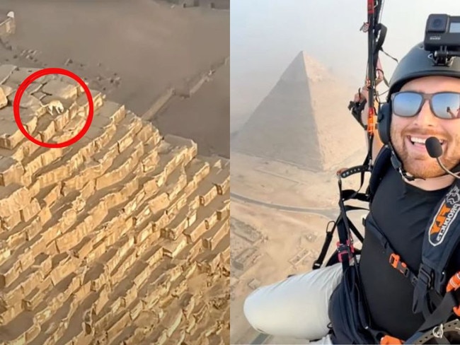 The dog was spotted on top of the pyramid.