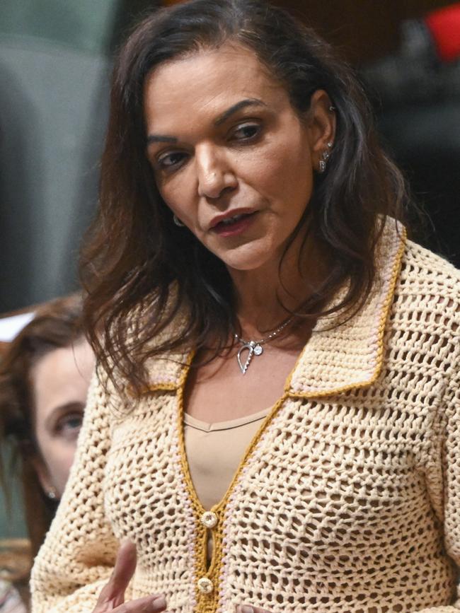 Anne Aly backed Mr Husic. Picture: NCA NewsWire / Martin Ollman