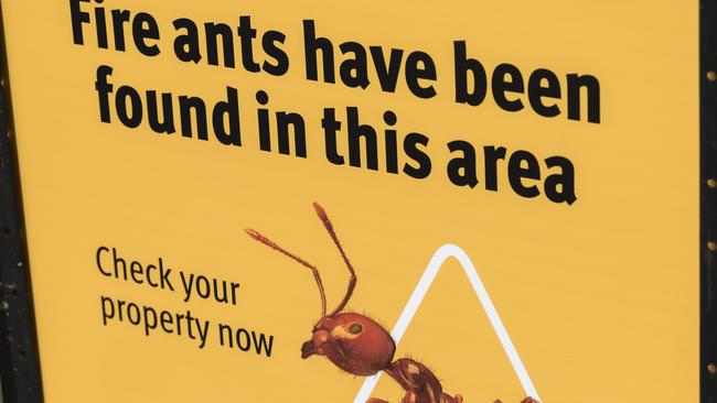 A Queensland government sign in Highfields advises that fire ants have been found in the area. Picture: Kevin Farmer