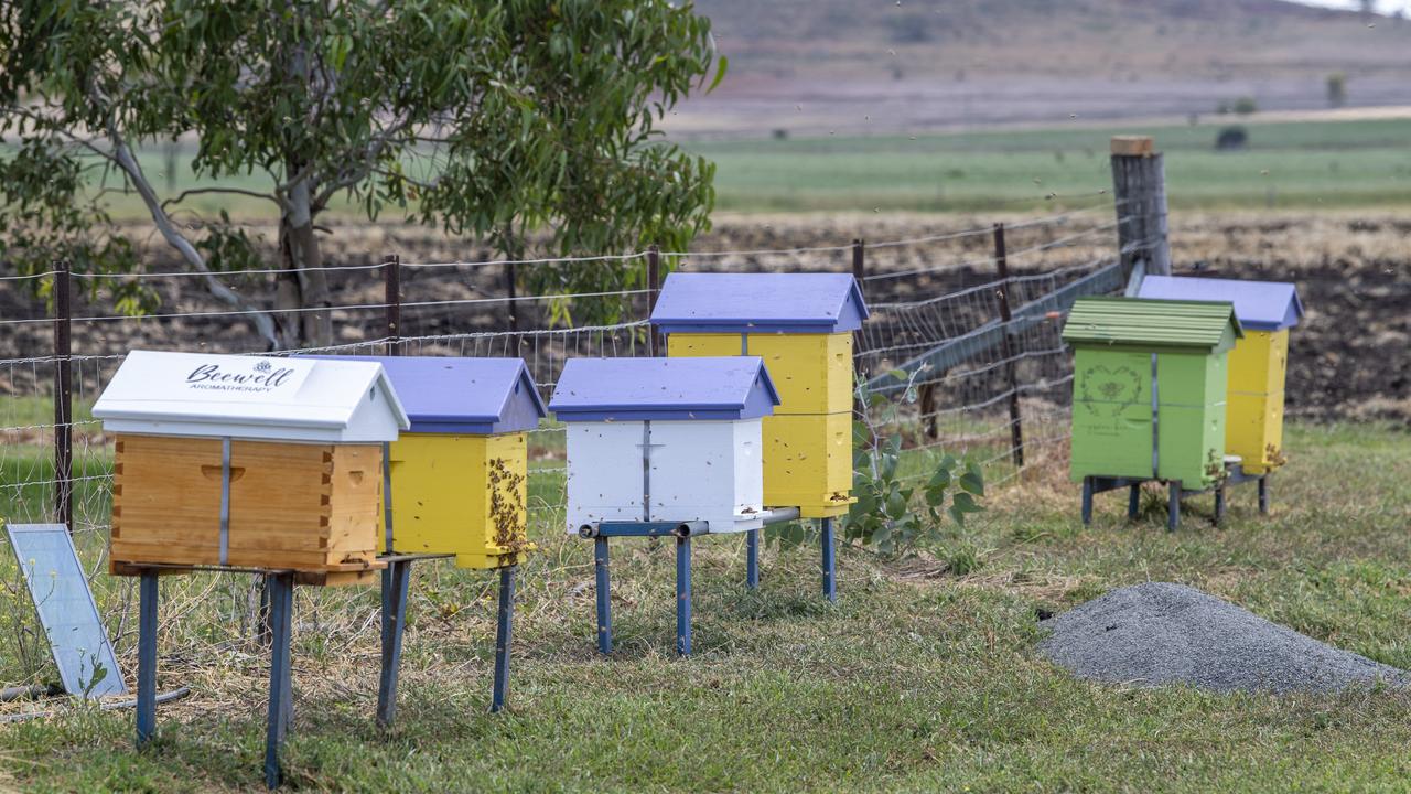 Windy Acres Farm is now home to six bee hives, including one sponsored by Toowoomba business, Green Bee Communications (the green hive, of course!) Picture: Nev Madsen