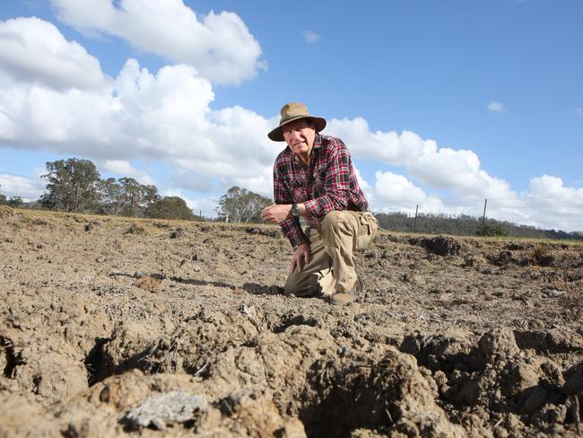Menangle Craig Williams is one of many local farmers struggling in the dry conditions. Picture: Robert Pozo