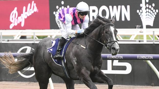 Sghirripa wins the Standish Handicap at Flemington in 2024. Picture: Brett Holburt / Racing Photos