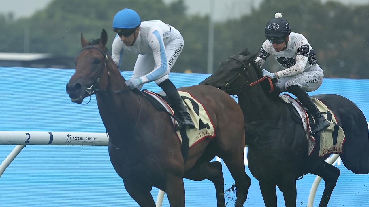 Boom colt Private Harry made it three from three at Rosehill on Saturday. Picture: Getty Images