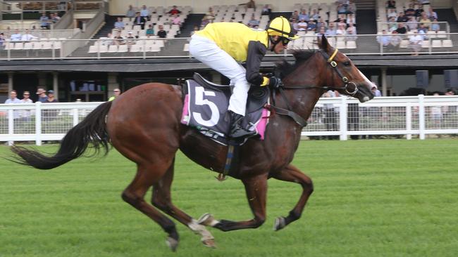 Eagle Farm sprung to life yesterday with a series of racing trials to christen the new track.