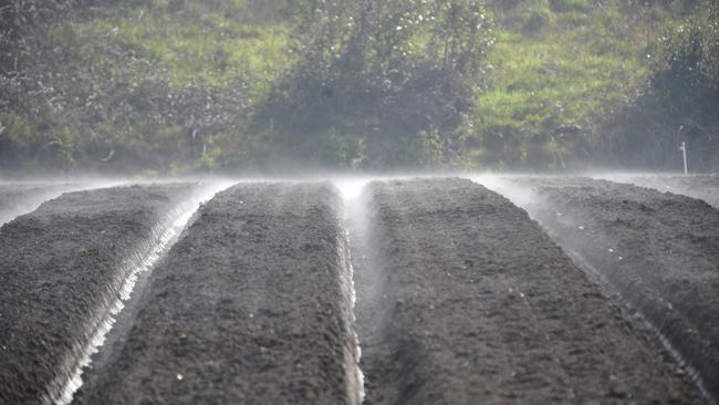 Freshly applied chicken manure on a vegetable farm. Manure is to be defined as industrial waste in Victoria from July 1.