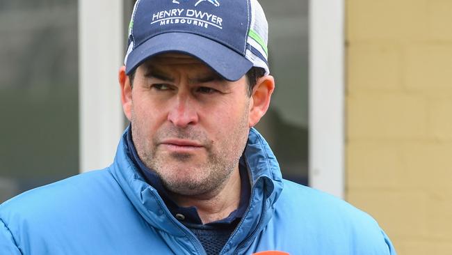 Trainer Henry Dwyer has found the perfect race for Morpurgo at Donald on Sunday. Picture: Racing Photos via Getty Images.