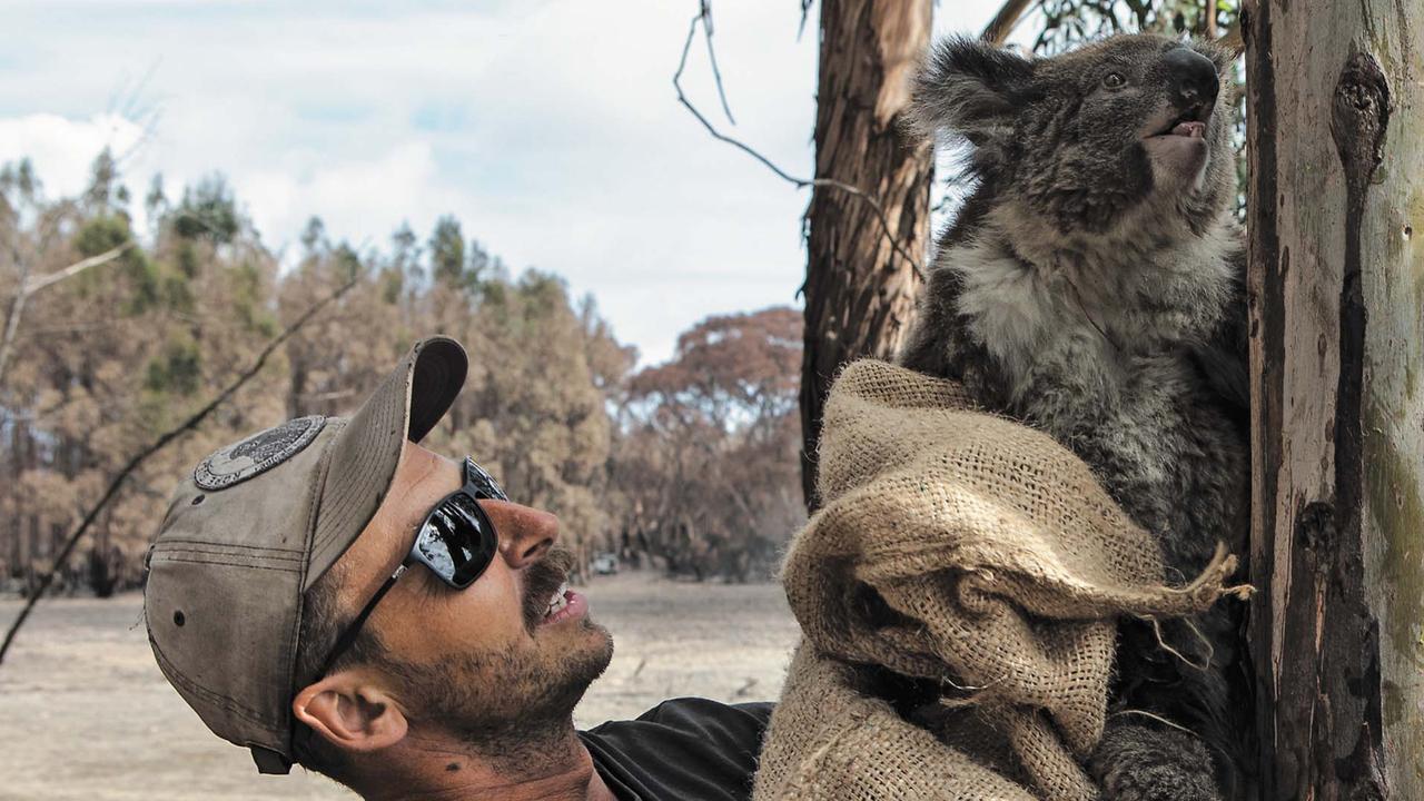 Australian bushfires: Kailas Wild climbed tree to save koala’s life ...