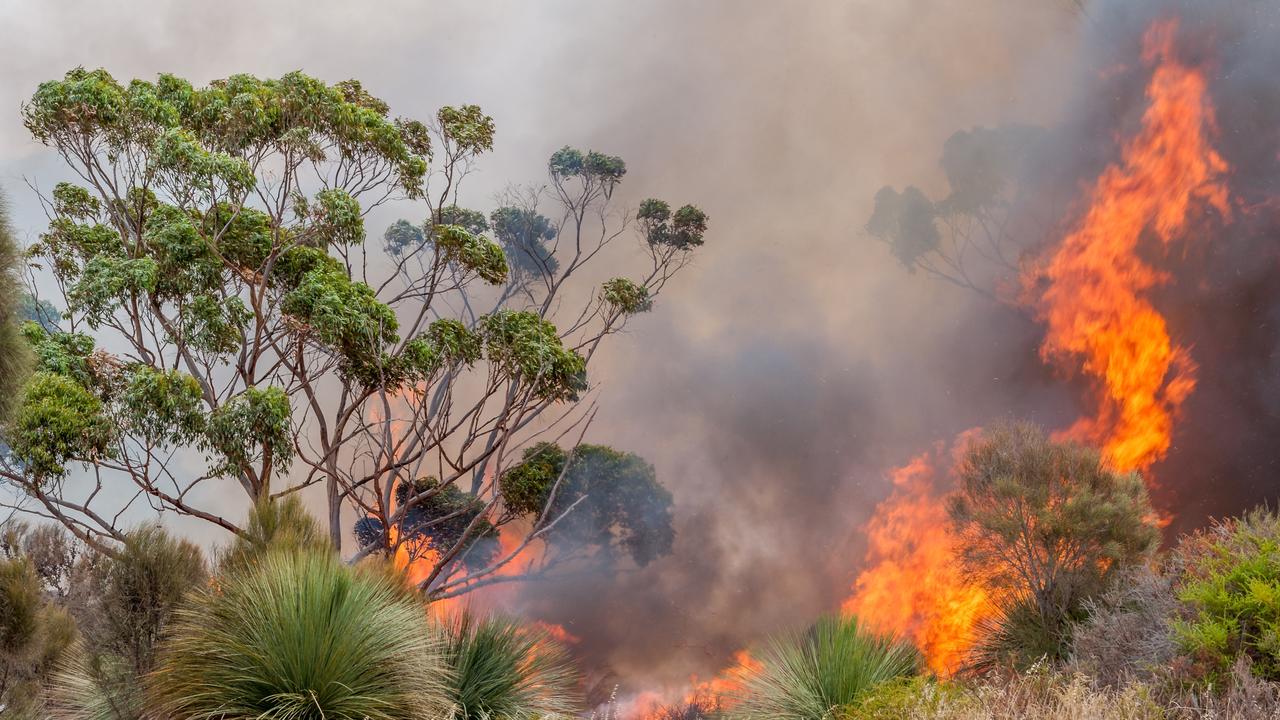 Kangaroo Island Plantation Timbers sustains further damage from