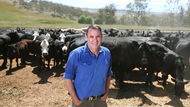 Richard Norton, managing director of Meat and Livestock Australia. Picture: Kym Smith