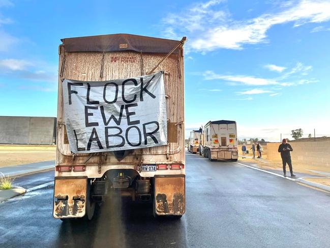 The government announced a $107 million package over four years to help farmers transition out of the sheep export industry, with the plan to completely phase out the industry by May 1, 2028. Picture: Lara Jensen