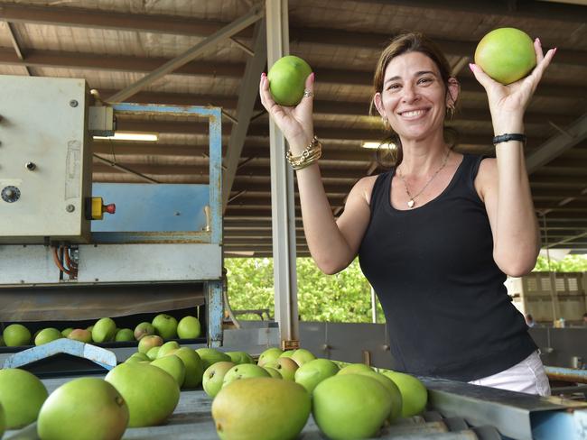 Mango season Minister Vowles speaks to media re Mango season and the backpacker tax,  Sklivos Produce Worker    Tina Skliros  prepare for the mango season.