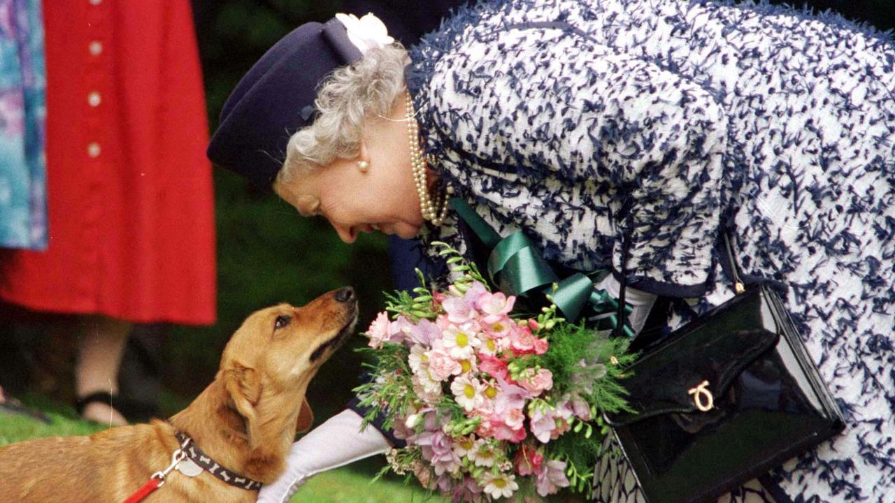 Prince Andrew reportedly bought the Queen to Dorgis after the death of Prince Philip