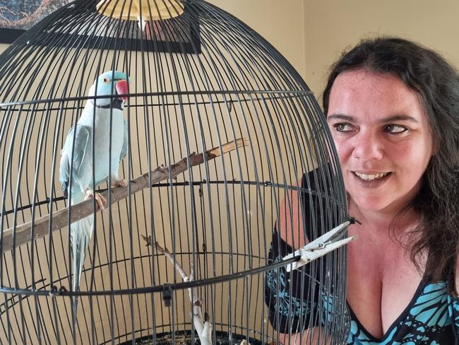 Cassie Carver, of Geeveston, with her bird Buddy the Indian ringneck which went missing in Kingston about 10 years ago.