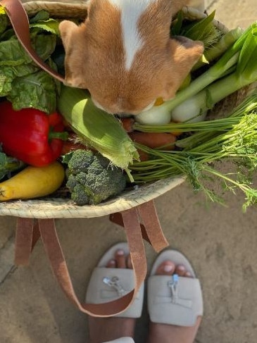 Meghan Markle posted a sweet pic of a “garden haul” of vegetables. Picture: Instagram
