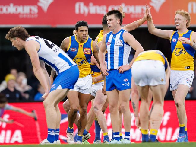 North Melbourne let one slip in Hobart. Picture: Dylan Burns/AFL Photos