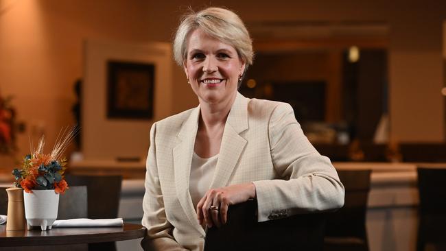 Environment Minister Tanya Plibersek. Picture: Keryn Stevens