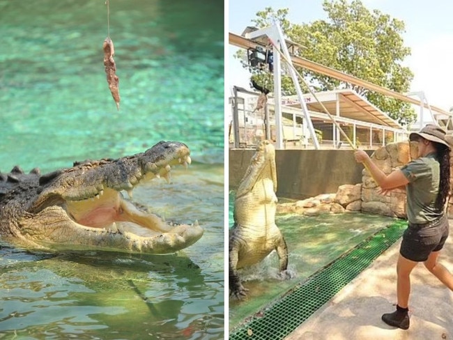 Woman mauled in horror croc attack. Picture: Facebook/Crocosaurus Cove Darwin