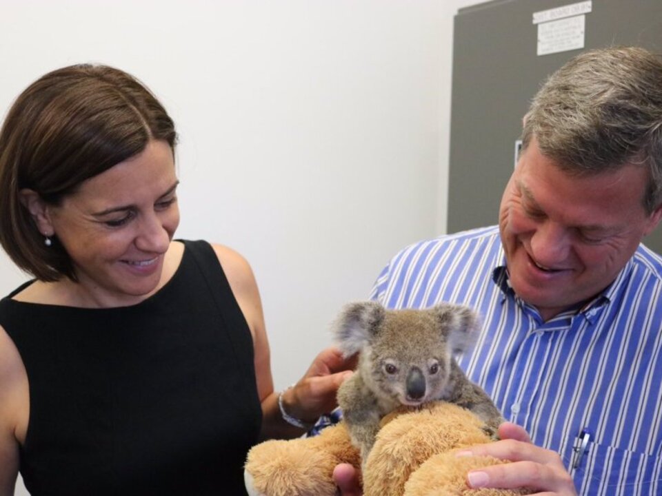 Deb Frecklington elected as leader of Queensland’s Liberal National Party