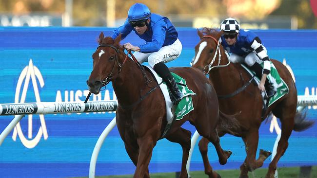 Smart Godolphin mare Red Card can enhance her already impressive record at Caulfield on Saturday. Picture: Getty Images