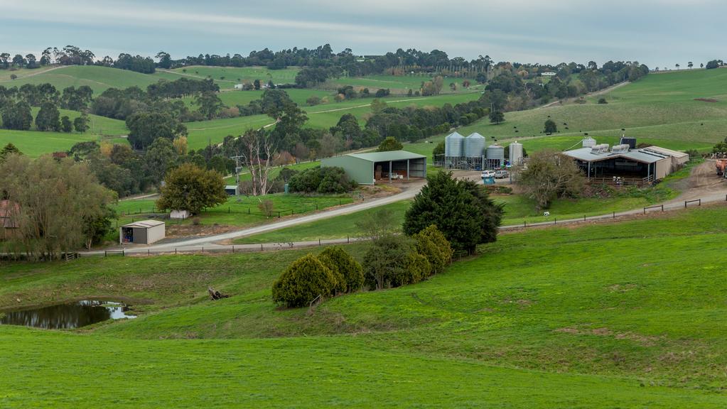 Chinese company DFP Australia buys two Gippsland dairy farms | The ...