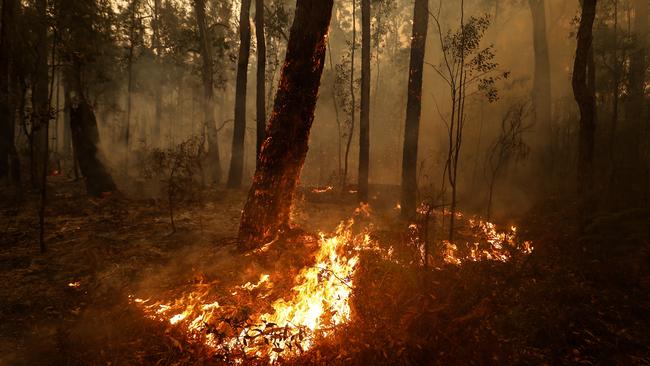 Small spot fires still burn between Orbost and Cann River along the Princes Highway. Picture: Darrian Traynor/Getty Images