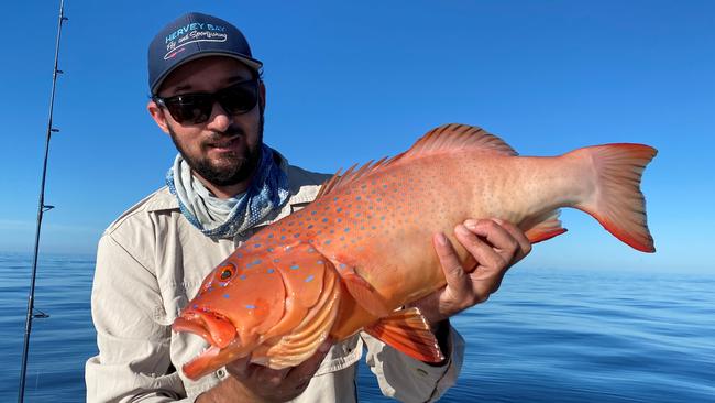 Hervey Bay guide Andrew Chorley hauled in this beautiful Hervey Bay Coral Trout.