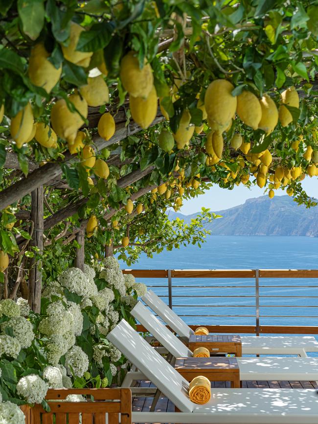 Lemons and hydrangea rim the outdoor pool.