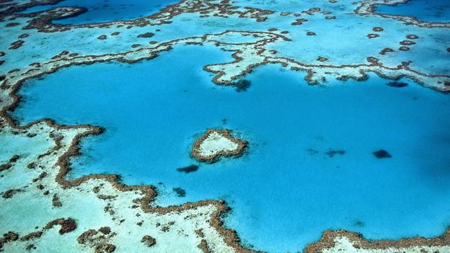 Heart Reef, Great Barrier Reef. Picture: Unsplash