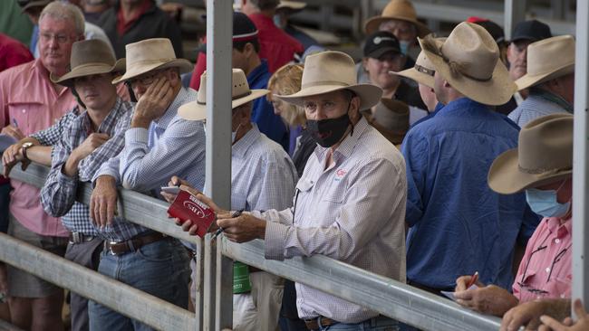 Buyers, including Peter Steer, line the rails at Wodonga on January 6.