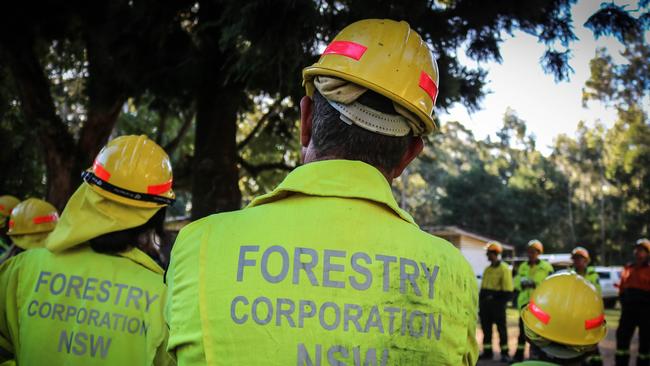 Forestry Corporation of NSW has been hit with $45,000 in fines. File image.