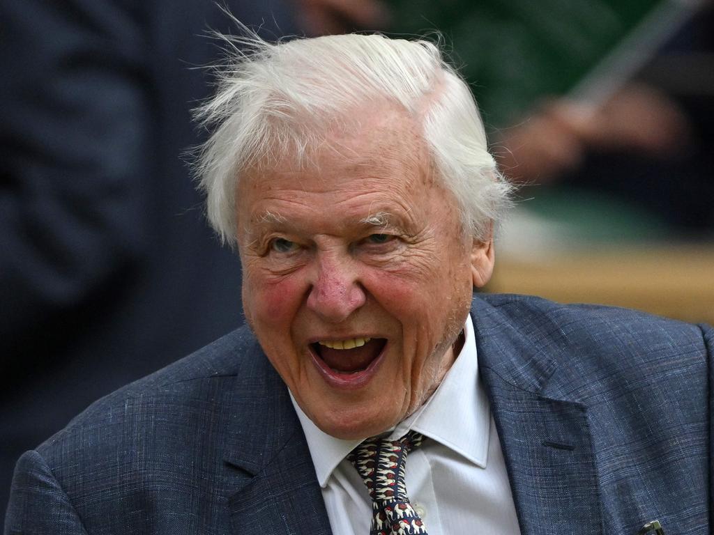 David Attenborough at the 2024 Wimbledon Championships at The All England Lawn Tennis and Croquet Club in Wimbledon, southwest London, on July 1, 2024. Picture: AFP