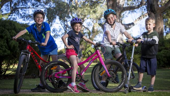 Local kids Hamish, Imogen, Michael and Henry at the Gums Reserve, Tranmere. Picture Emma Brasier.