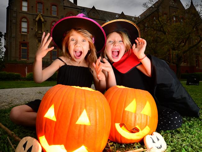 Halloween comes to Melbourne with Willow Smith, 6, and Anouk Smith, 4, and their pumpkins from Coles.